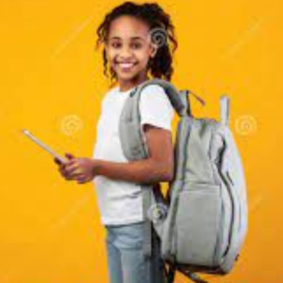 NWT High Sierra Backpack Waterproof Diaper Bag Hike Laptop Pink White Gray Baby - Picture 12 of 12